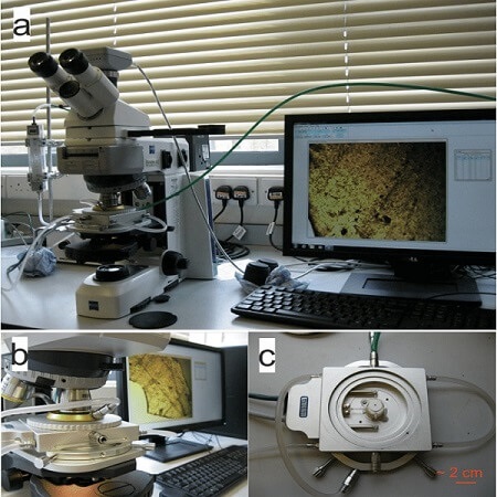 Microscopie à chaud par John Browning